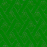 image147 