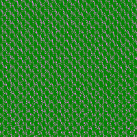 image153 