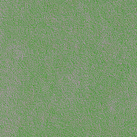 image166 