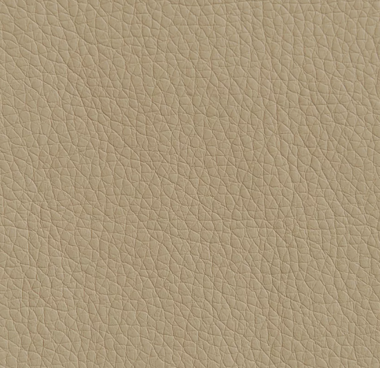 image18 