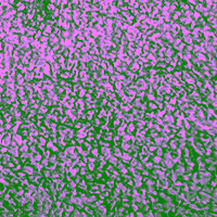 image192 