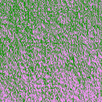 image194 