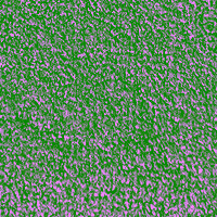 image196 