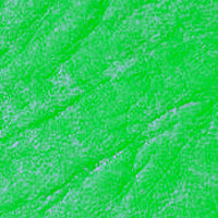 image21 