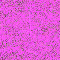 image26 